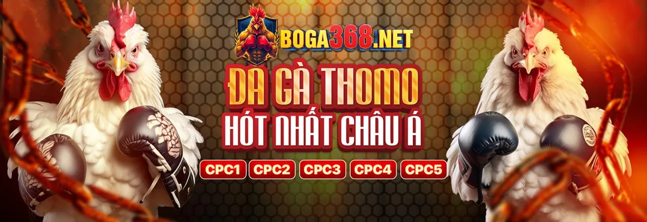 Hình ảnh khuyến mãi và ưu đãi